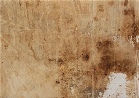 HERMANN NITSCH 109.Aktion, 2001