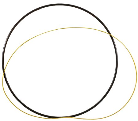 Gianfranco Pardi, Topos, 2004