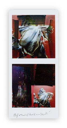 MAURIZIO GALIMBERTI (1956) - BiFlowers