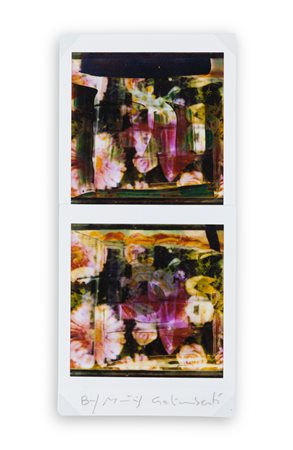 MAURIZIO GALIMBERTI (1956) - BiFlowers