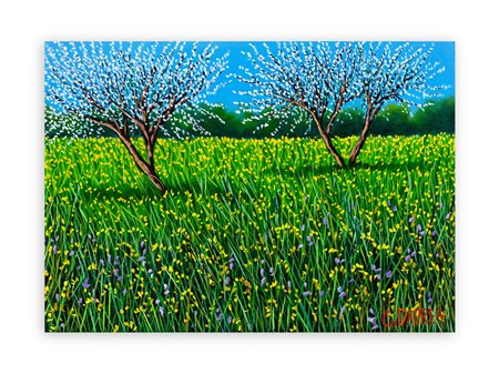 GIOVANNI DAUREA (1955) - Mandorli fioriti