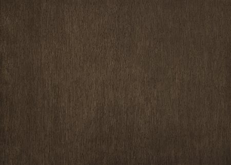 LEWITT SOL (1928 - 2007) - Black with White Lines, Vertical, Not Touching (from Conspiracy: The Artist as Witness).