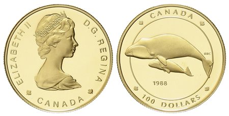 CANADA. 100 dollari 1988. Balena della Groenlandia. Au titolo 583 (13,34 g)....