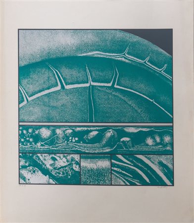 CARLO ZAULI (Faenza 1926 - 2002) "Senza titolo". Litografia a colori su...