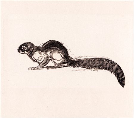 Paul Jouve (Marlotte, 1878 - Parigi, 1973) Scoiattolo Litografia, cm...