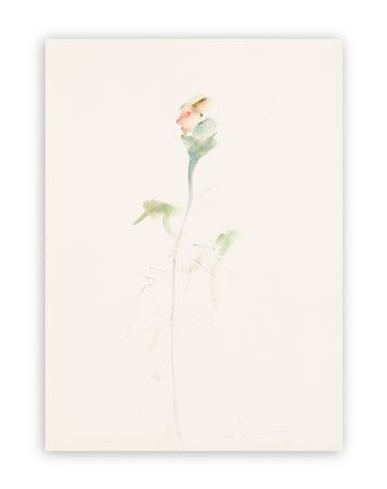 ERNESTO TRECCANI (1920-2009) - Un altro bocciolo