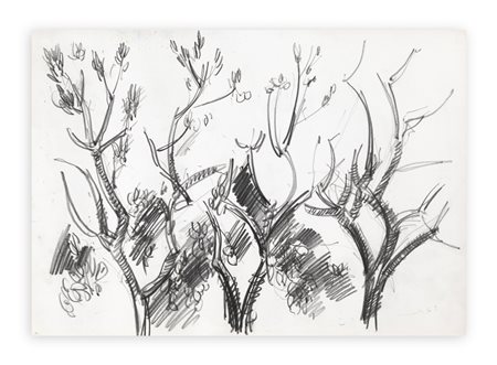 ENNIO MORLOTTI (1910-1992) - Alberi, 1963