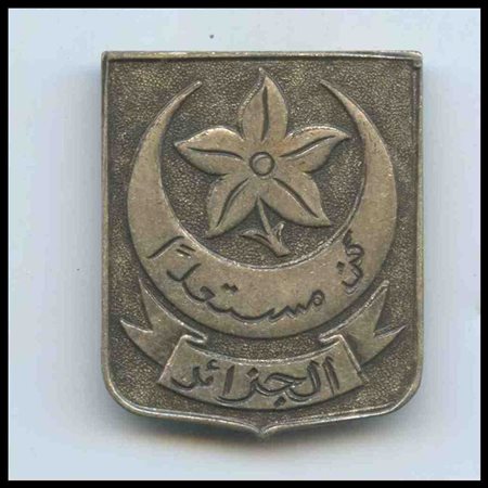 FRANCIA
Distintivo delle truppe di montagna algerine