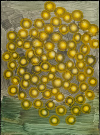 BLECKNER ROSS