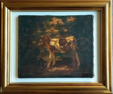 Van Kregden Fedor (Olanda 1871-1937) Mucca olio su tela cm.35x40 firmato in...