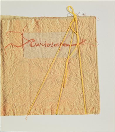 Maria Lai (1919 - 2013) CURIOSAPE, 2002 libro d'artista con interventi sulla...