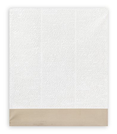 ALFREDO RAPETTI (1961) - Superfice N.1, 2009