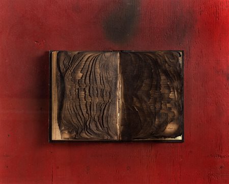 Bernard Aubertin (1934-2015)  - Livre brulè, 2009