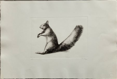 Dieter Kopp "Scoiattolo" 1977
acquaforte
(lastra cm 26x35; foglio cm 49,5x70)
fi