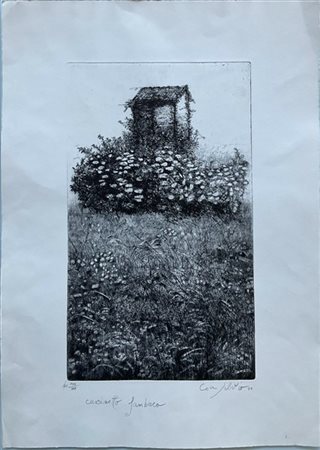 Giuliana Consilvio "Cascinetto" 1990
acquaforte
(lastra cm 49x29,5; foglio cm 69