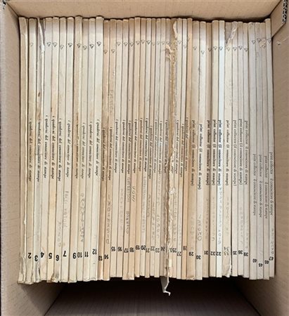 Lotto composto da un cartone contenente vari fascicoli de "I quaderni del conos