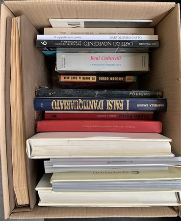 Cartone contenente varie pubblicazioni inerenti l'arte e altro