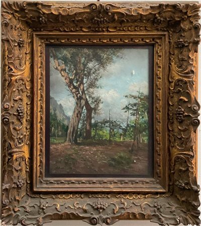 Ignoto del XX secolo, "Scorcio boschivo" olio su compensato (cm 30,5x23,5) In b
