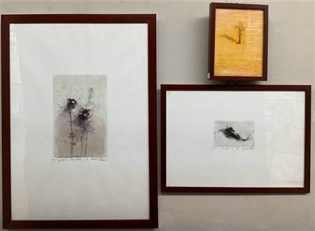 Lotto composto da quattro acquaforti acquerellate di Alessandro Nocentini, raff