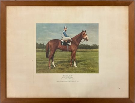 Gruppo di sei fotocalcografie a colori raffiguranti cavalli da corsa con fantin