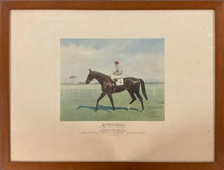 Gruppo di sei fotocalcografie a colori raffiguranti cavalli da corsa con fantin