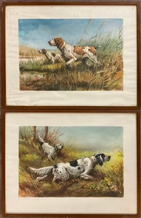 Lotto composto da sette litografie a colori raffiguranti cani da caccia, firmat