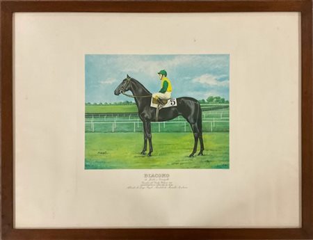 Gruppo di quattro fotocalcografie a colori raffiguranti cavalli da corsa con fa