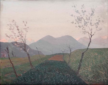 Oreste Albertini 1887-1953, Campi a Besano