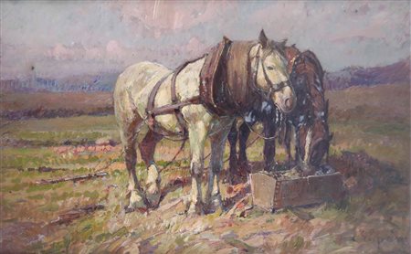 Alessandro Lupo 1876-1953, Cavalli