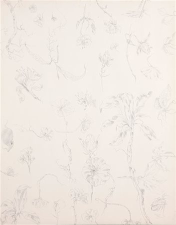 COLOMBOTTO ROSSO ENRICO Torino 1925- Casale 2013 "Erbario" 1971 55x45 matita...