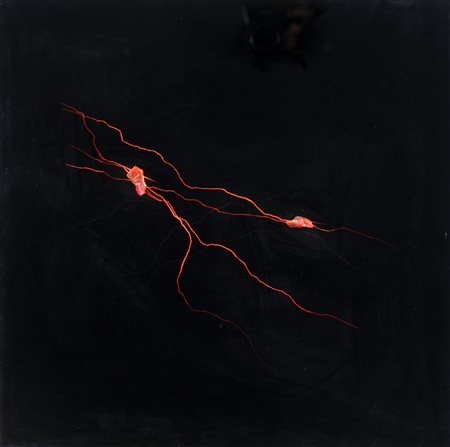 Nicola Evangelisti (Bologna 1972), “Struttura spaziale: out of the darkness (passions)”,