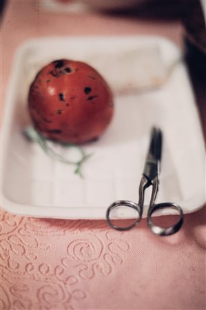 Silvia Camporesi (1973)  - Senza titolo (Natura morta), 2002