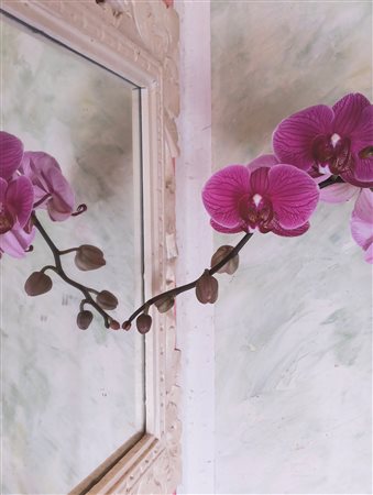 Ken Damy (1949)  - Senza titolo , 2017