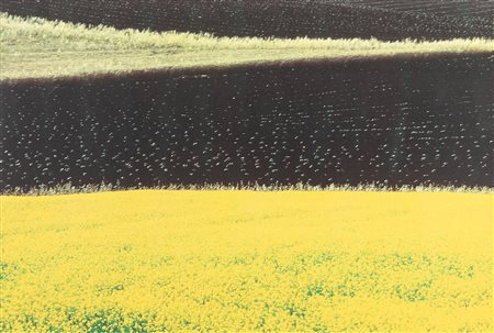 Franco Fontana (1933)  - Paesaggio, 2000s