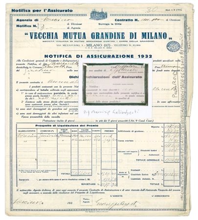 Maurizio Galimberti (1956)  - Vecchia Mutua Reale Grandine, 2010