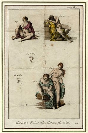 Charles-Joseph  Panckoucke, Hermaphrodites. chez Panckoucke Libraire, 1777.