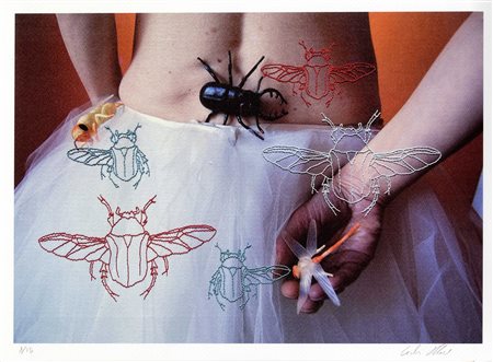 Meri Ciuchi, Senza aprire le ali. 2021.