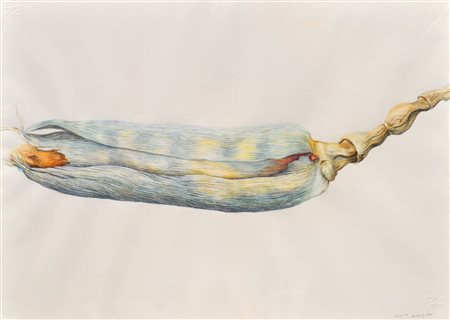 Gotthard Bonell (Truden/Trodena 1953) Pannocchia, 1980;Tecnica mista su...