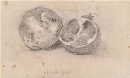 Giorgioppi (Rovereto 1951) Melograni;Carboncino, 21 x 34,5 cm, leggere...