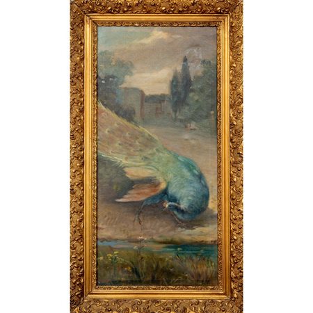 PITTORE DEL XX SECOLO 
Pavone 
Olio su tela