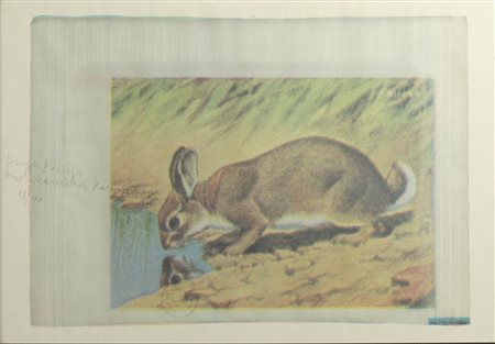 JOSEPH BEUYS
Amerikanischer Hasenzucker, 1974