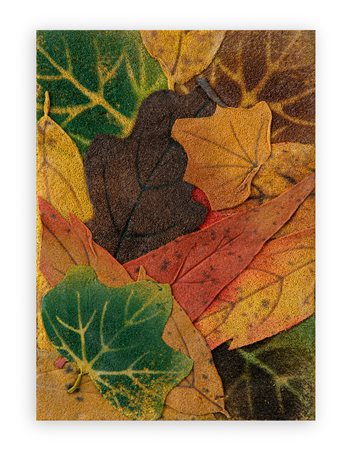 PIERO GILARDI (1942) - Foglie, 1978