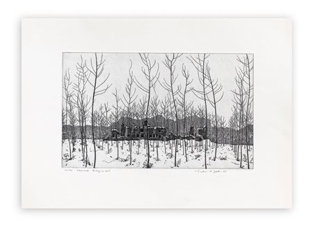 FEDERICA GALLI (1932-2009) - Cascina Belgioioso, 1986