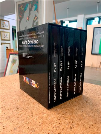 MARIO SCHIFANO - Studio metodologico riguardante la catalogazione informatica dei dati relativi alle opere di Mario Schifano presenti presso la Fondazione M.S. Multistudio