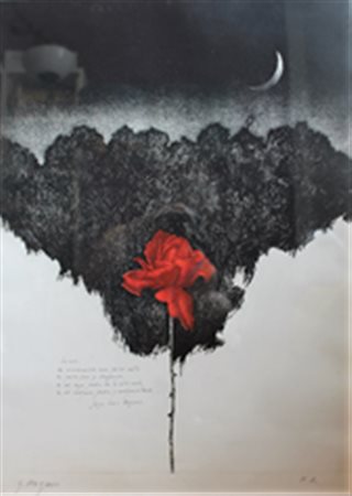 NAZARIO GAUDENZIO VERCELLI (VERCELLI) 1934 Rose e cit Borges Litostampa...