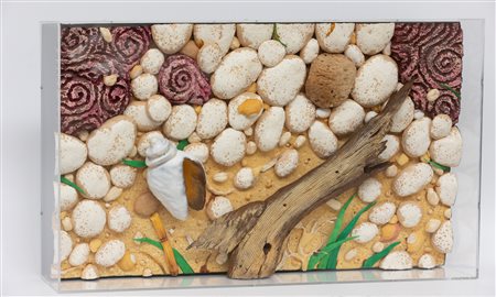 PIERO GILARDI Spiaggia delle madrepore