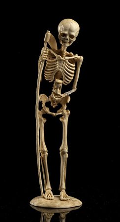 "Memento Mori", scheletro tedesco in avorio - XVIII secolo