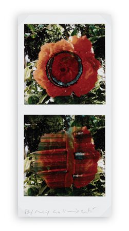 MAURIZIO GALIMBERTI (1956) - BiFlowers