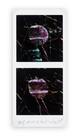 MAURIZIO GALIMBERTI (1956) - BiFlowers