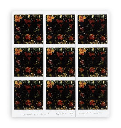 MAURIZIO GALIMBERTI (1956) - Colorcolor… ,2017